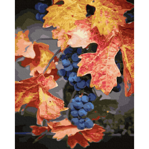 Картина по номерам Натюрморти - Осінній виноград