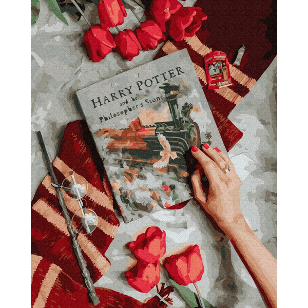 Картина по номерам Авторські колекції - Знайомство з магічним світом Гаррі