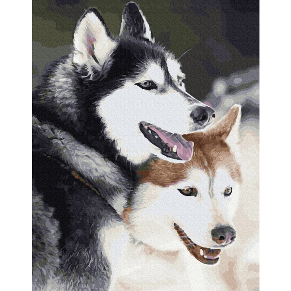 Картина по номерам Преміум картини - Хаскі