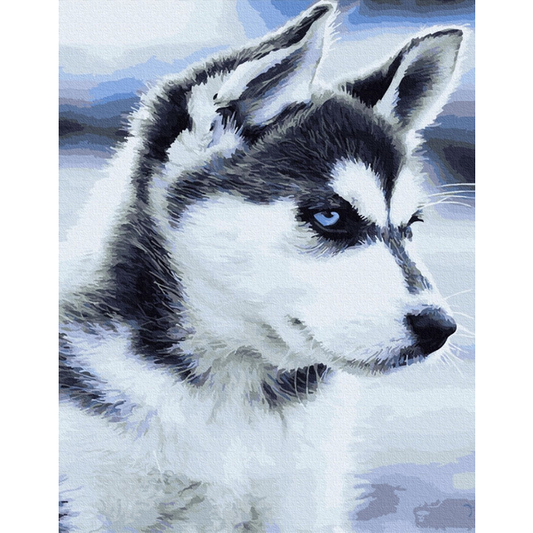 Картина по номерам Преміум картини - Цуценя Хаскі