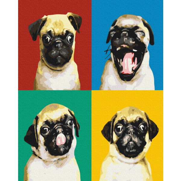 Картина по номерам Тварини, птахи та риби - Колаж з мопсом