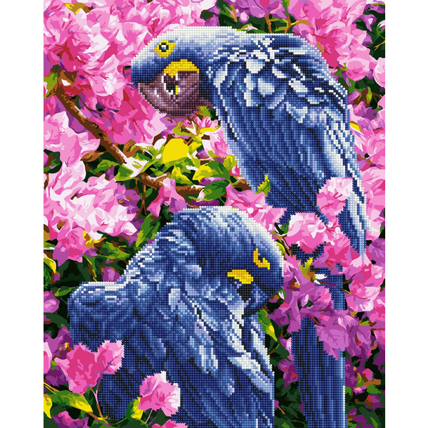 Комбінована алмазна мозаїка - Яскраві папуги