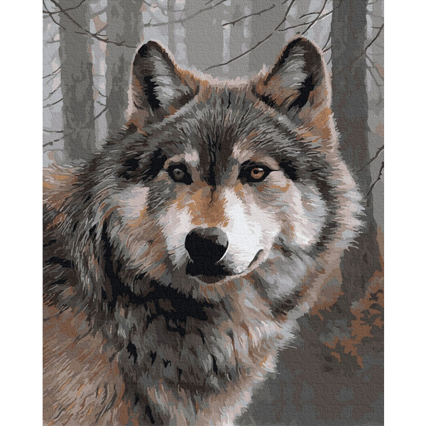 Картина по номерам Тварини, птахи та риби - Сірий вовк
