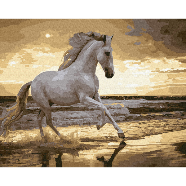 Картина по номерам Тварини, птахи та риби - Біг риссю на узбережжі