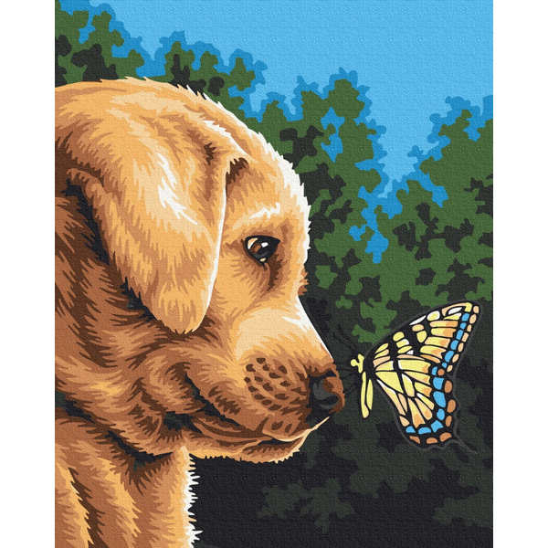 Картина по номерам Тварини, птахи та риби - Метелик на носику ретривера