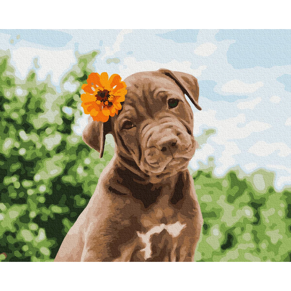 Картина по номерам Тварини, птахи та риби - Собачка милий романтик