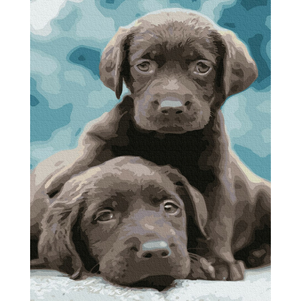 Картина по номерам Тварини, птахи та риби - Щенята лабрадора
