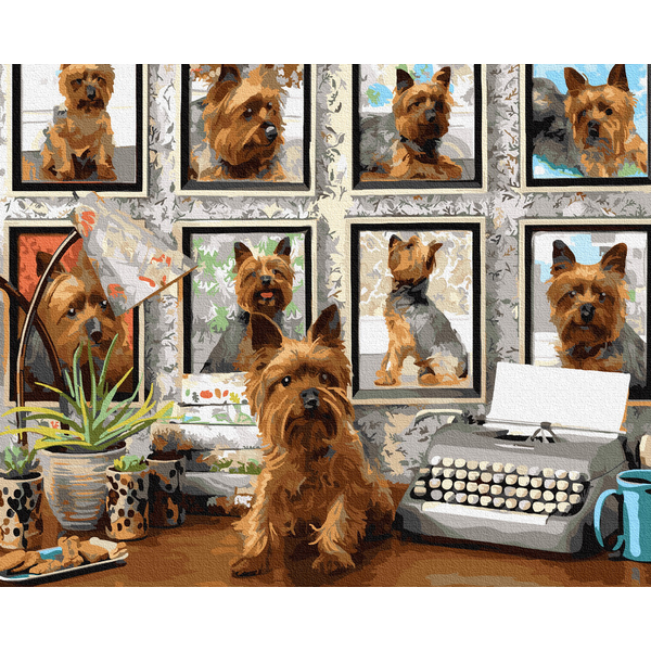 Картина по номерам Тварини, птахи та риби - Улюбленець йоркширский терьер