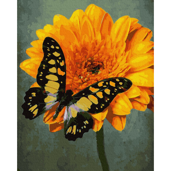 Картина по номерам Тварини, птахи та риби - Метелик на маргаритці