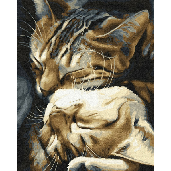 Картина по номерам Тварини, птахи та риби - Сплячі котики