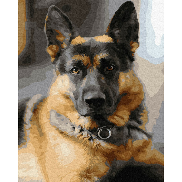 Картина по номерам Тварини, птахи та риби - Комісар Рекс