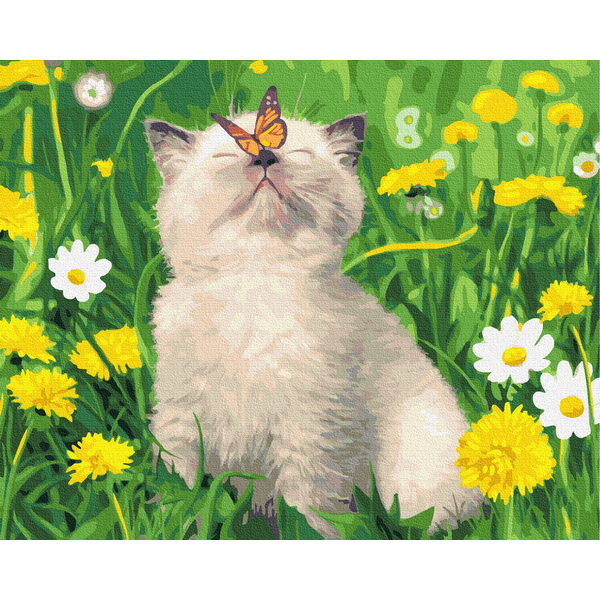 Картина по номерам Тварини, птахи та риби - Котик з метеликом на носі