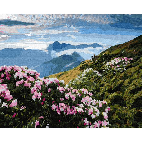 Картина по номерам Природа - Квітковий вид на гори