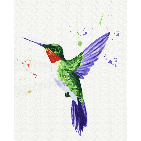 Картина по номерам Тварини, птахи та риби - Колібрі