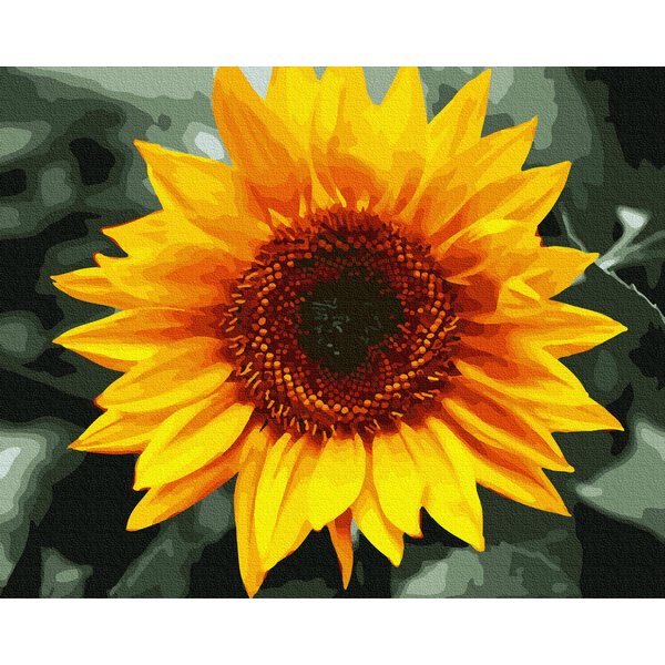Картина по номерам Квіти - Яскравий соняшник