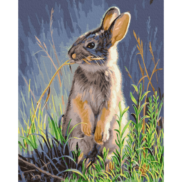 Картина по номерам Тварини, птахи та риби - Лісовий заєць