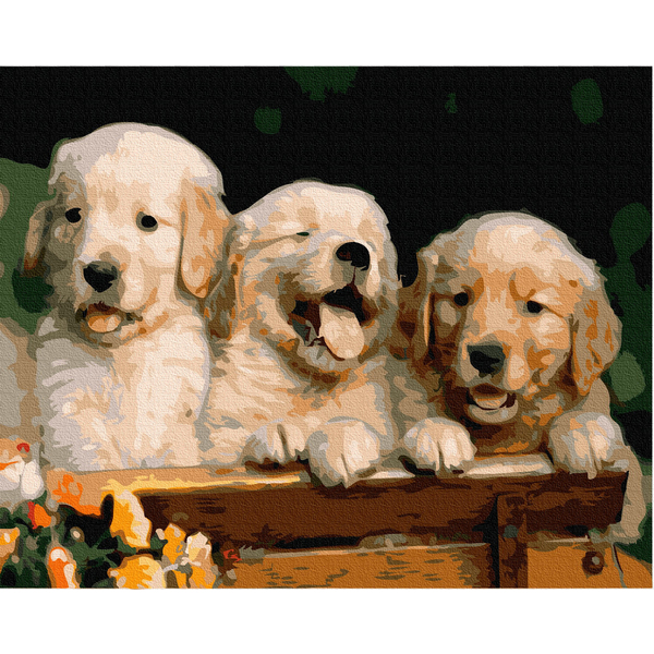 Картина по номерам Тварини, птахи та риби - Милі собачки