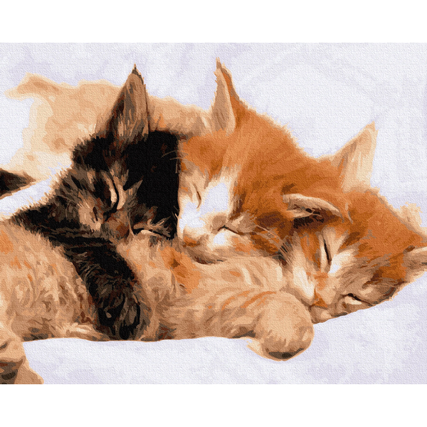 Картина по номерам Тварини, птахи та риби - Сплячі котики