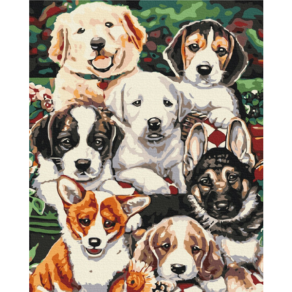 Картина по номерам Тварини, птахи та риби - Цуцики