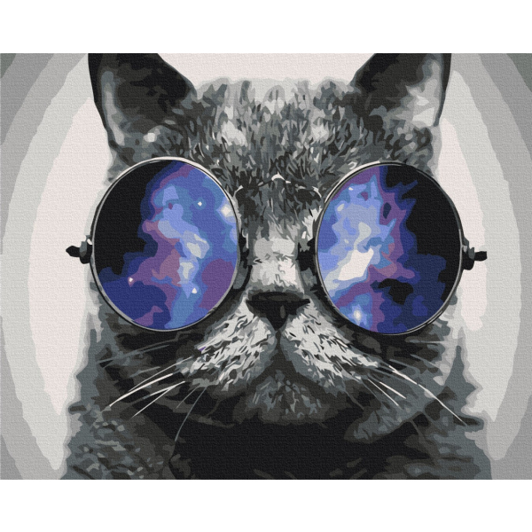 Картина по номерам Тварини, птахи та риби - Котик на Маямі