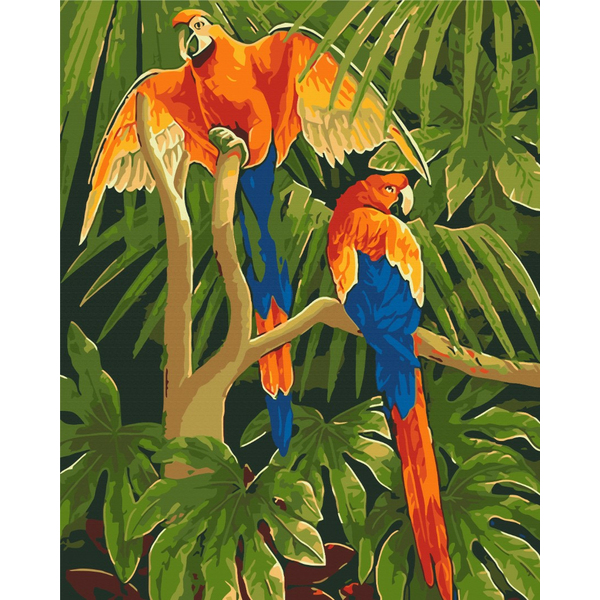 Картина по номерам Тварини, птахи та риби - Тропічні птахи
