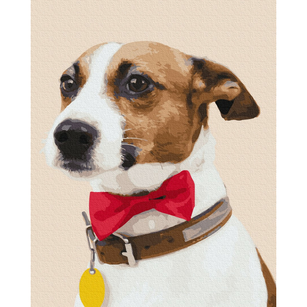 Картина по номерам Тварини, птахи та риби - Собачка чемпіон