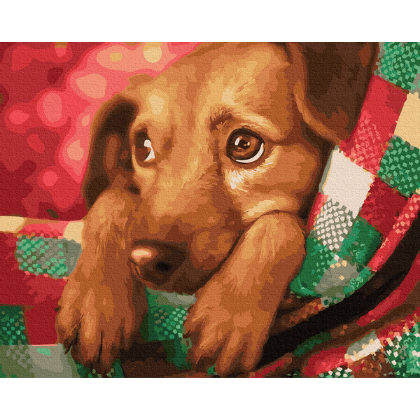 Картина по номерам Тварини, птахи та риби - Улюблений песик