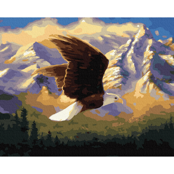 Картина по номерам Тварини, птахи та риби - Гірський орел