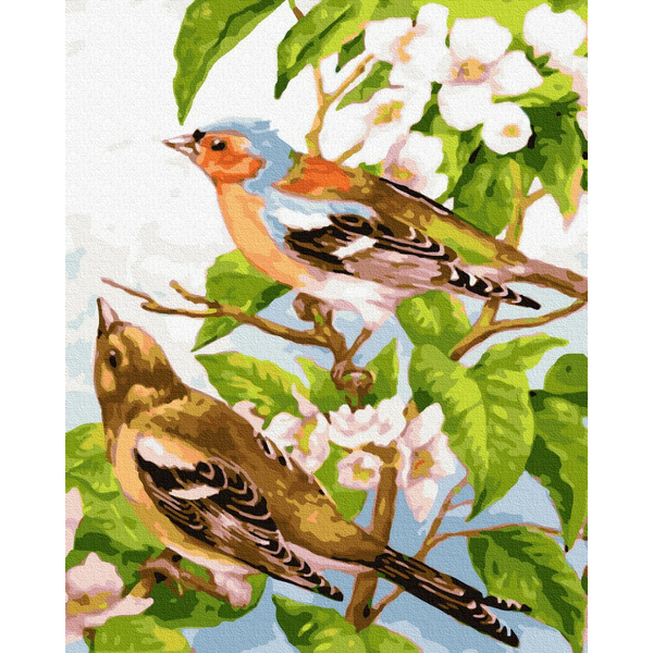 Картина по номерам Тварини, птахи та риби - Весняні пташечки
