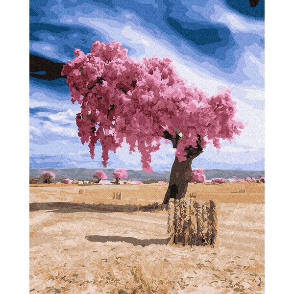 Картина по номерам Пейзажі - Диво в пустелі