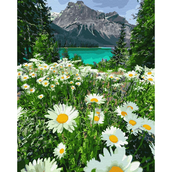 Картина по номерам Преміум картини - Ромашки біля гір