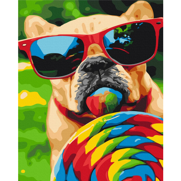 Картина по номерам Тварини, птахи та риби - Летний песик