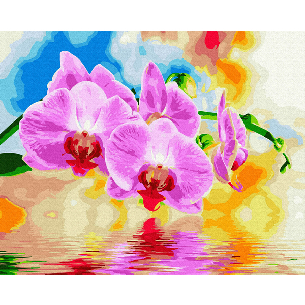 Картина по номерам Квіти - Орхідея