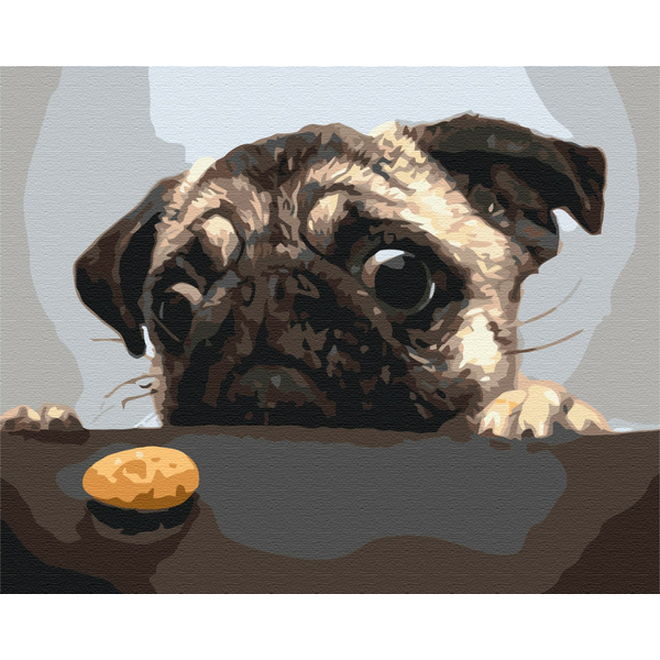 Картина по номерам Тварини, птахи та риби - Мопсик