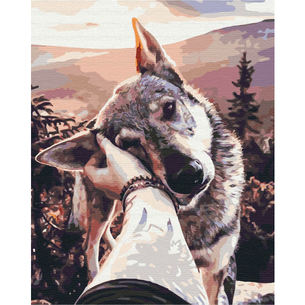 Картина по номерам Тварини, птахи та риби - Друг вовк