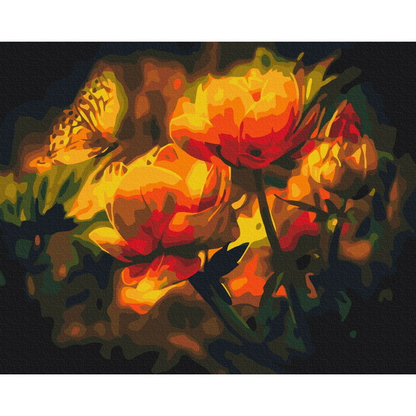 Картина по номерам Квіти - Цветочный контраст