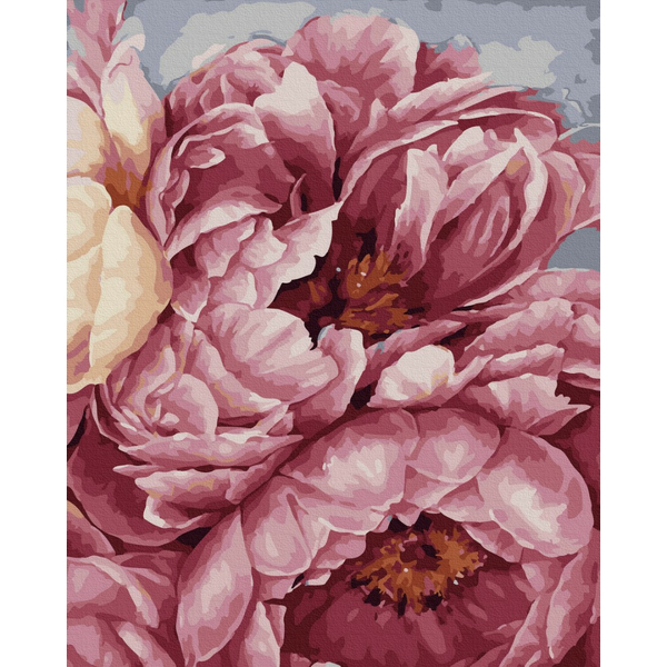 Картина по номерам Авторські колекції - Цвітіння піонів
