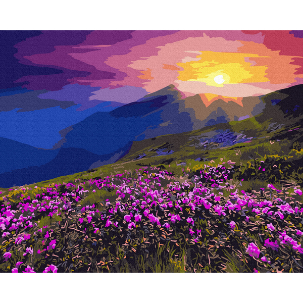 Картина по номерам Природа - Гірський луг