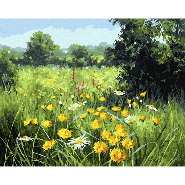 Картина по номерам Природа - Кульбабки на лузі