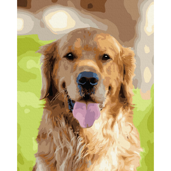 Картина по номерам Тварини, птахи та риби - Золотий ретрівер