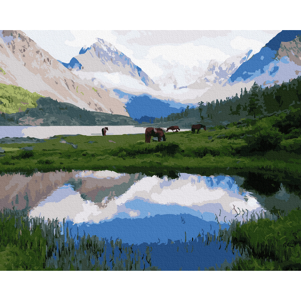 Картина по номерам Природа - Пасовище в горах
