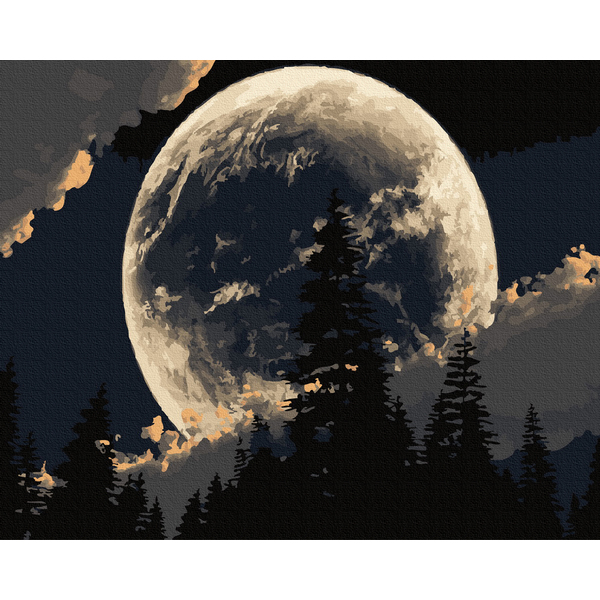 Картина по номерам Природа - Лісове затемнення