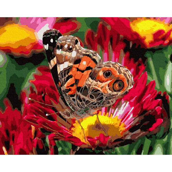 Картина по номерам Тварини, птахи та риби - Метелик в макро зйомці