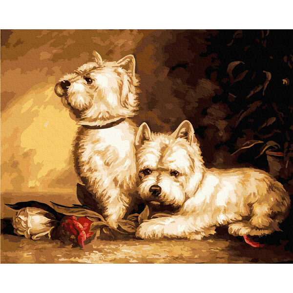 Картина по номерам Тварини, птахи та риби - Собачки на побаченні