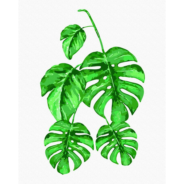 Картина по номерам Квіти - Малюнок монстери