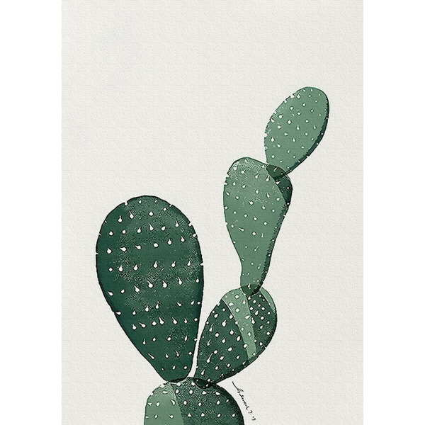 Картина по номерам Квіти - Кактус Мехіко