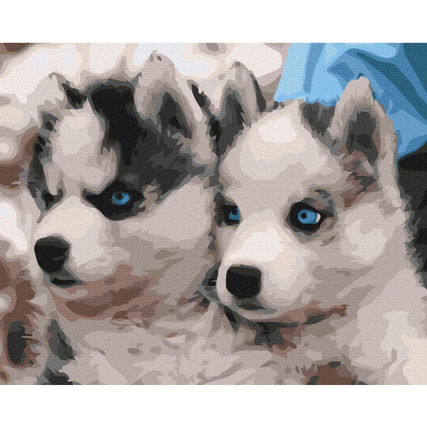 Картина по номерам Тварини, птахи та риби - Цуценята хаскі