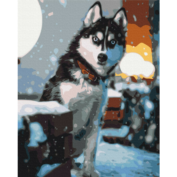 Картина по номерам Тварини, птахи та риби - Допитливий хаскі