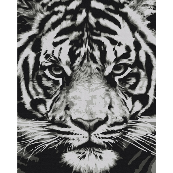 Картина по номерам Тварини, птахи та риби - Взгляд зверя