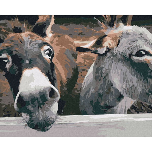 Картина по номерам Тварини, птахи та риби - Віслючки на ранчо